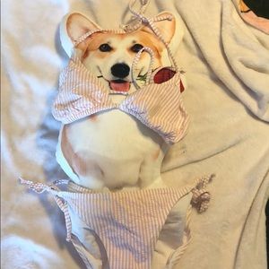 NWT J Crew S Seersucker Bikini READ DESCRIPTION!